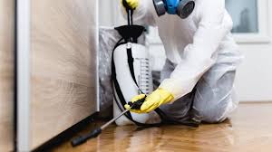 Best Commercial Pest Control  in Port Arthur, TX